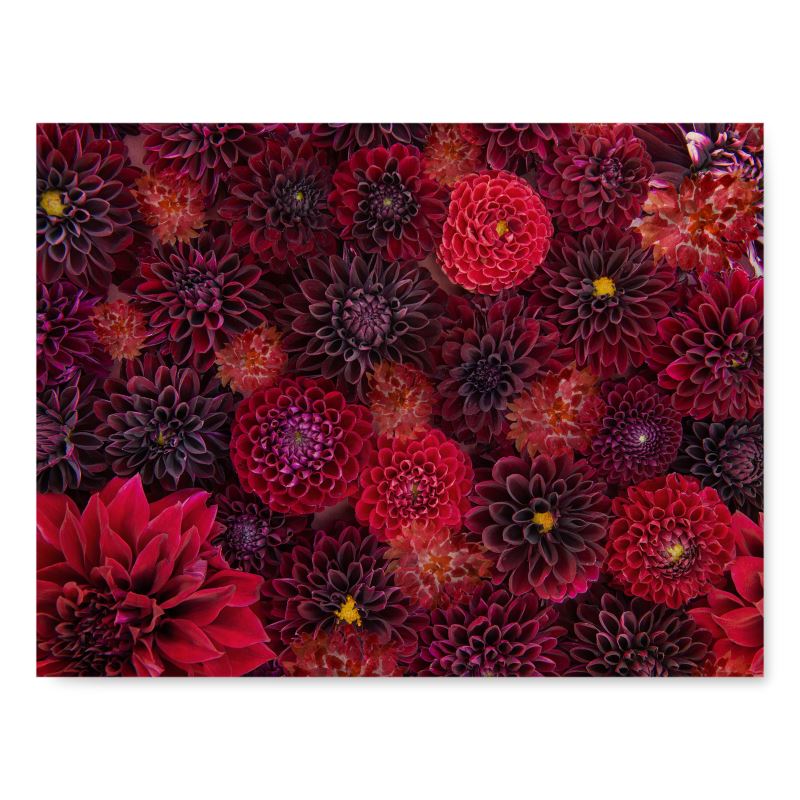 Dahlia Cheese Board