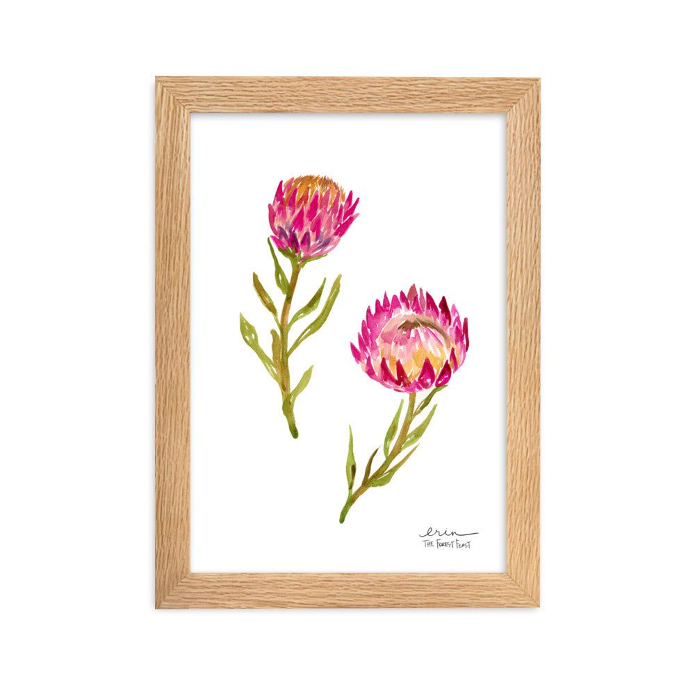 Protea Art Print