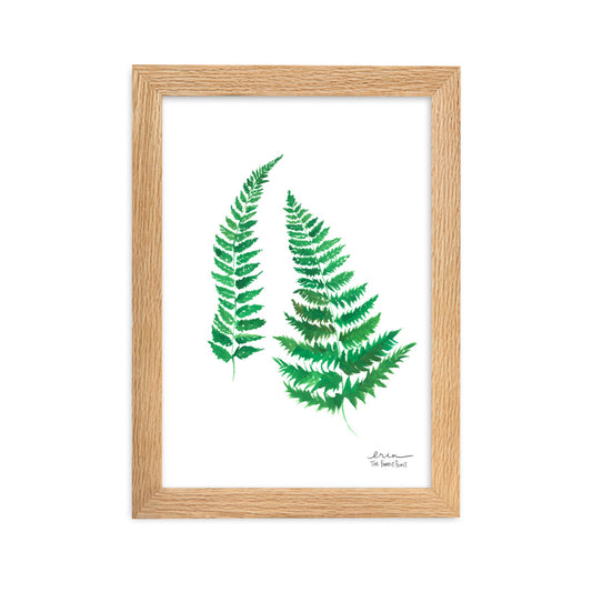 Forest Fern Art Print